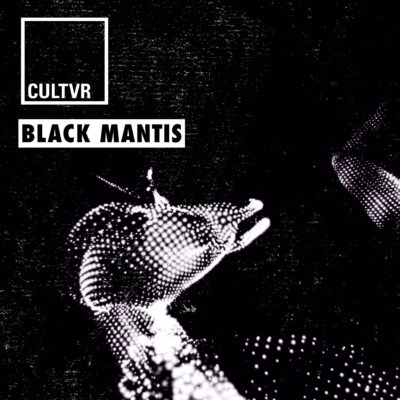 Portrait of Black Mantis