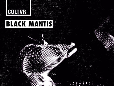 Find out more: Black Mantis